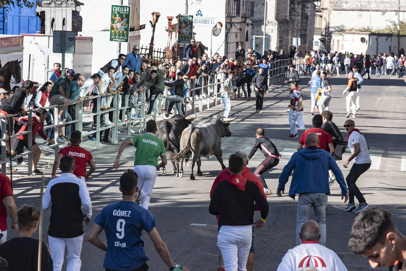 El segundo encierro de las fiestas de Cuéllar, en imágenes (2/2)