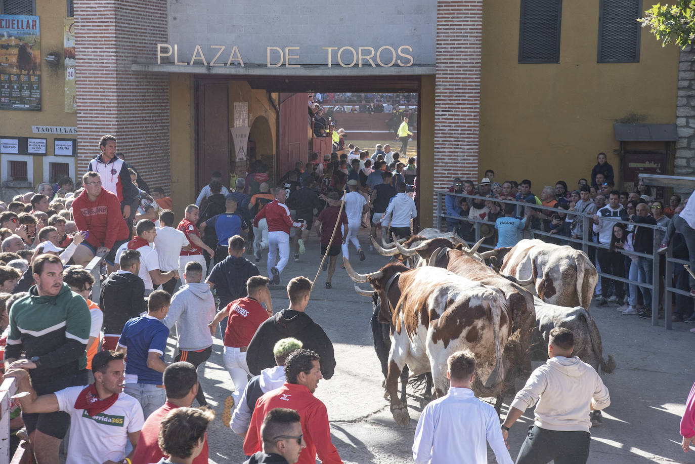 El segundo encierro de las fiestas de Cuéllar, en imágenes (2/2)