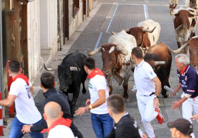 Encierro de Cuéllar por las calles de la villa.