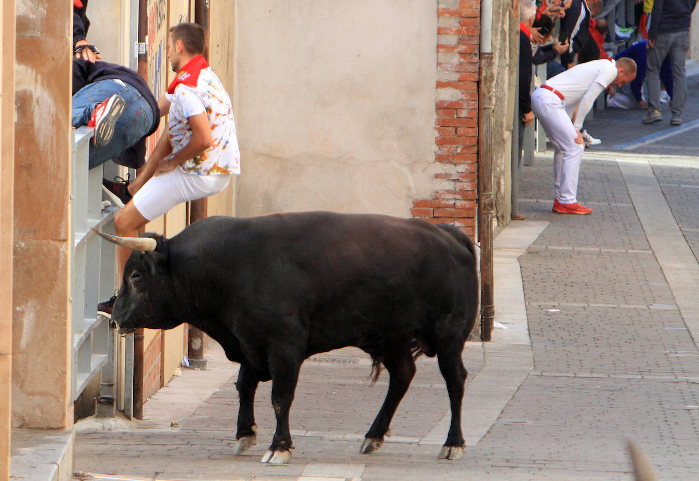 El tercer encierro de Cuéllar, en imágenes (2 de 2)