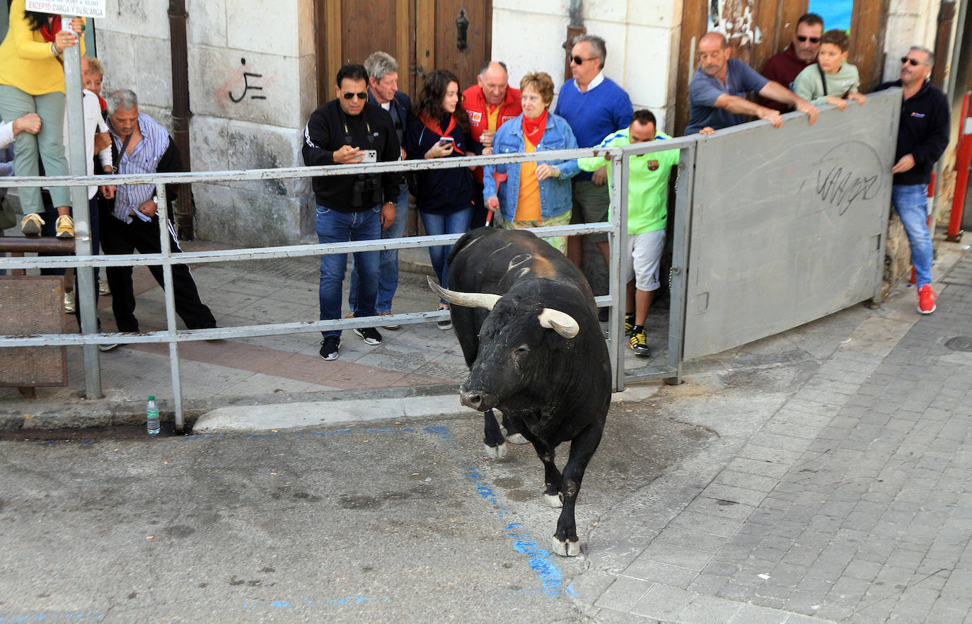 El tercer encierro de Cuéllar, en imágenes (2 de 2)