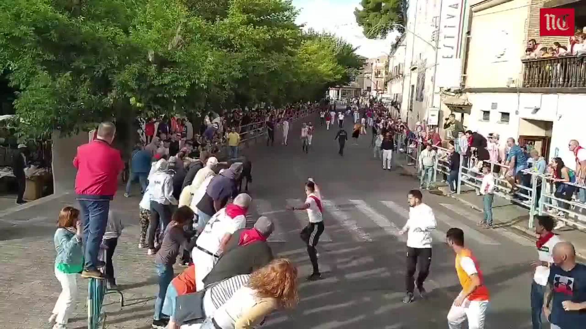 Tercer encierro de las fiestas de Cuéllar