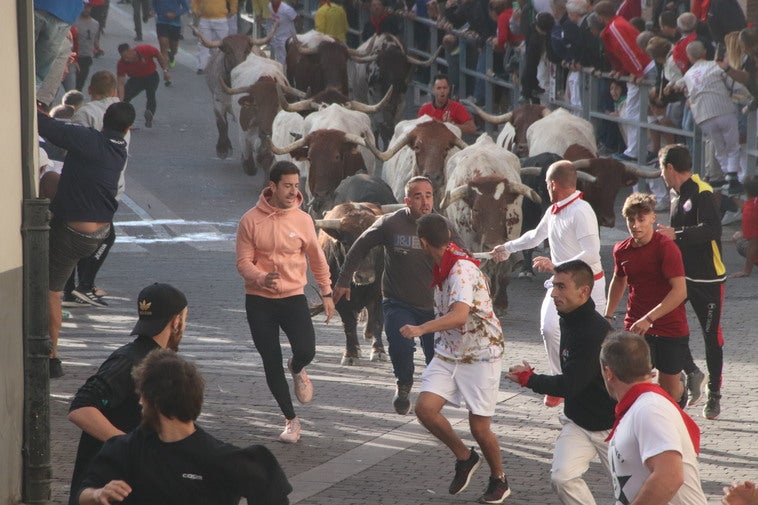 El tercer encierro de Cuéllar, en imágenes (1 de 2)
