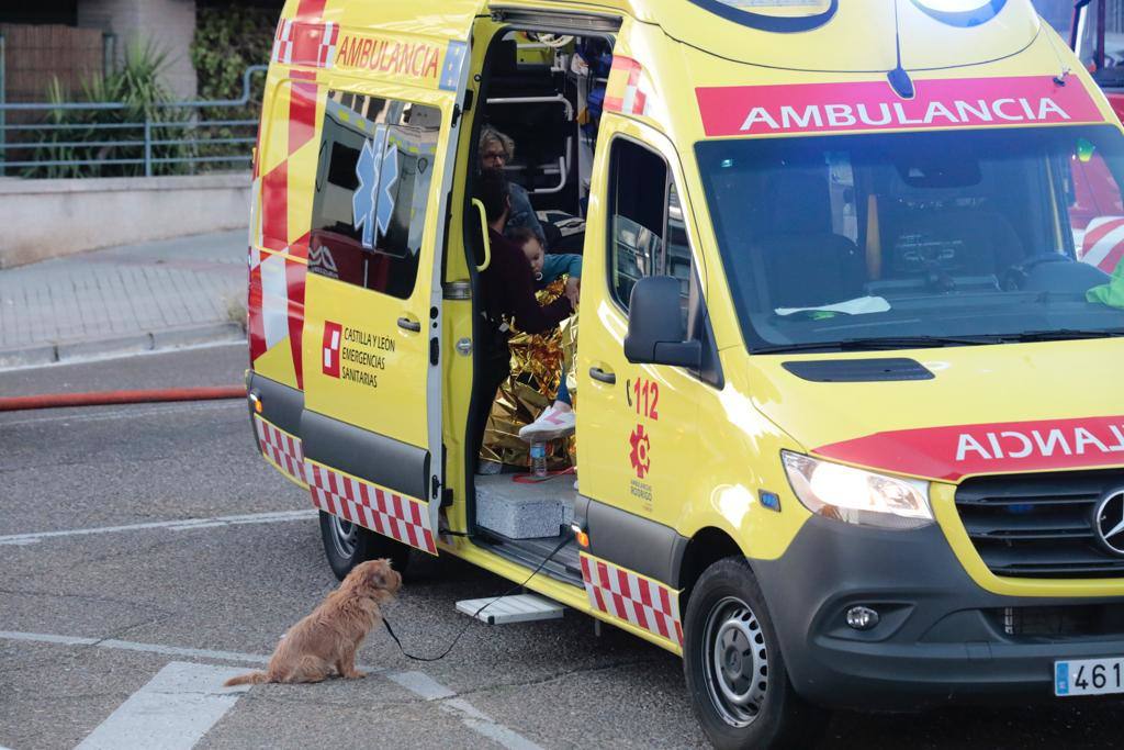 La explosión de gas en el barrio de Parquesol de Valladolid, en imágenes (I)