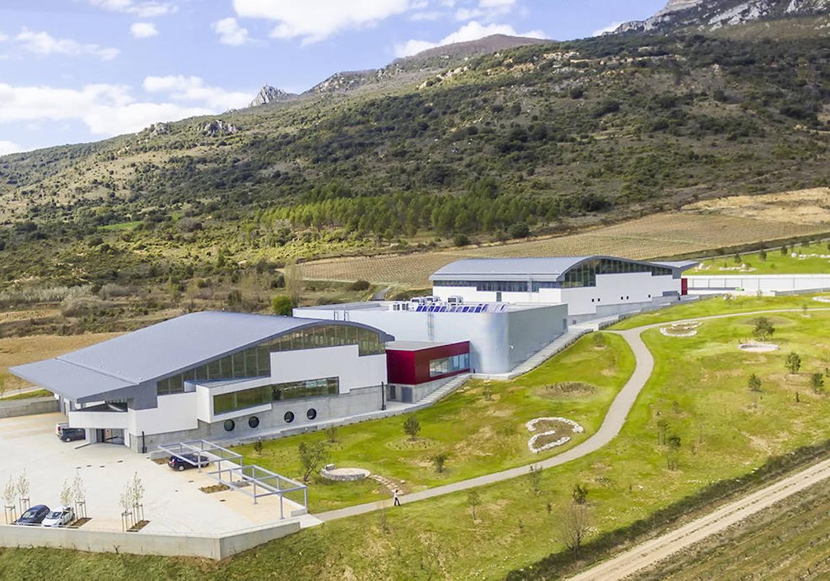 Viñedos y bodega Macán, de Benjamín de Rothschild & Vega Sicilia.