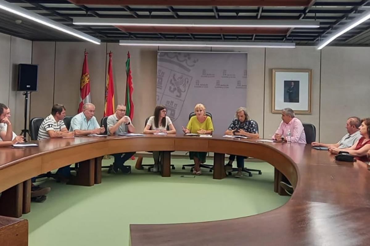 Participantes en la reunión celebrada en Zamora para analizar la situación de la enfermedad en esta provincia.