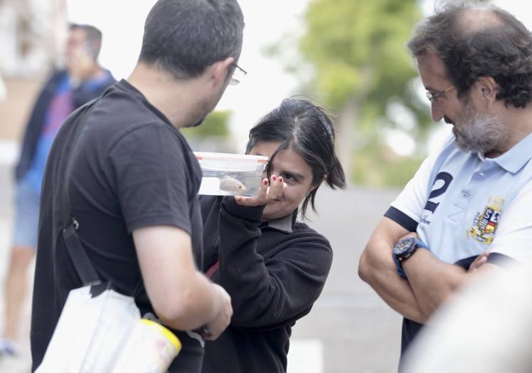 Imagen principal - El edificio de Parquesol se blinda ante el temor vecinal a robos