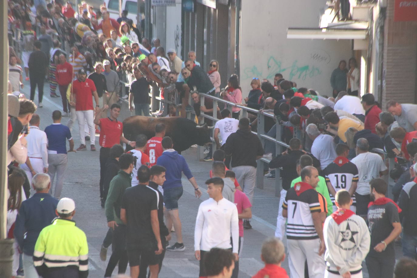 El cuarto encierro de Cuéllar, en imágenes (1 de 2)