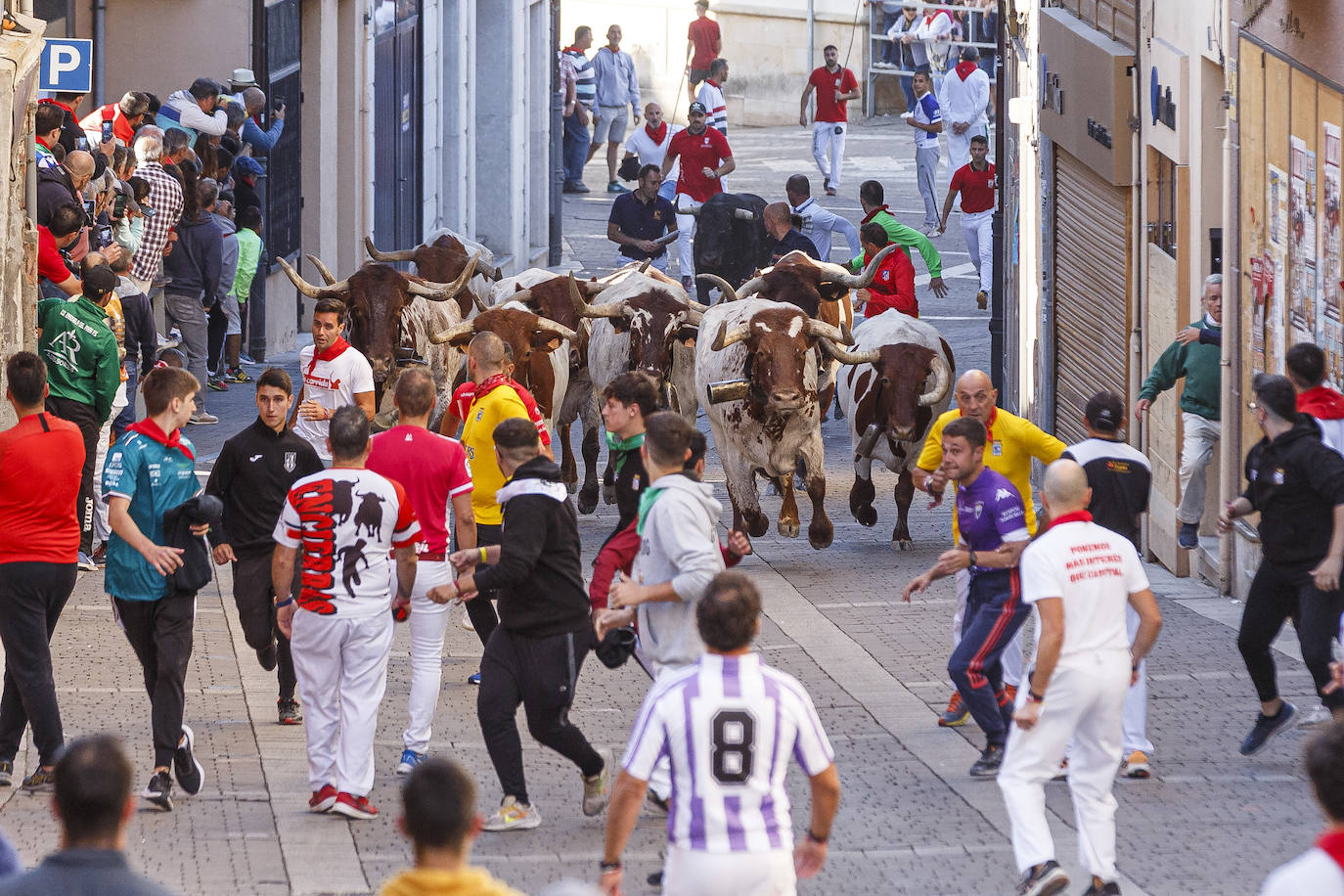 El cuarto encierro de Cuéllar, en imágenes (1 de 2)