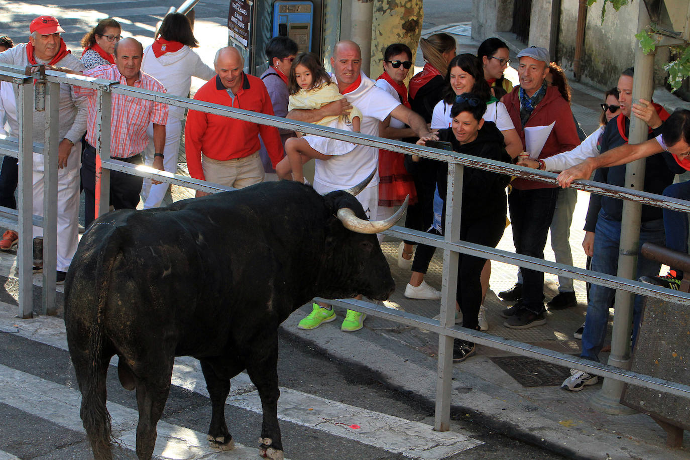 El cuarto encierro de Cuéllar, en imágenes (2 de 2)