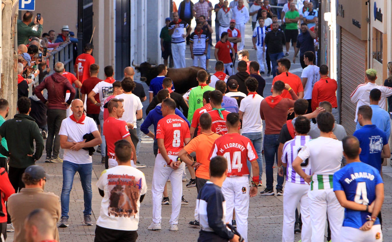 El cuarto encierro de Cuéllar, en imágenes (2 de 2)