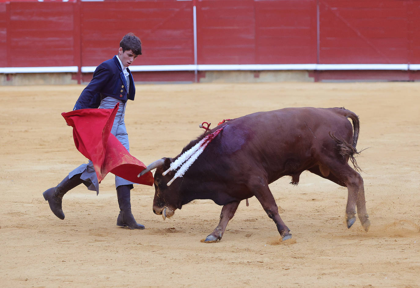 Tarde taurina de triunfos en el preámbulo de la feria