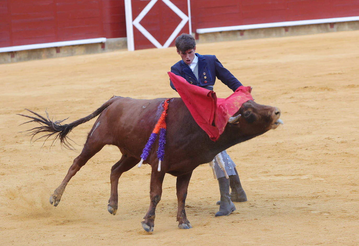 Tarde taurina de triunfos en el preámbulo de la feria