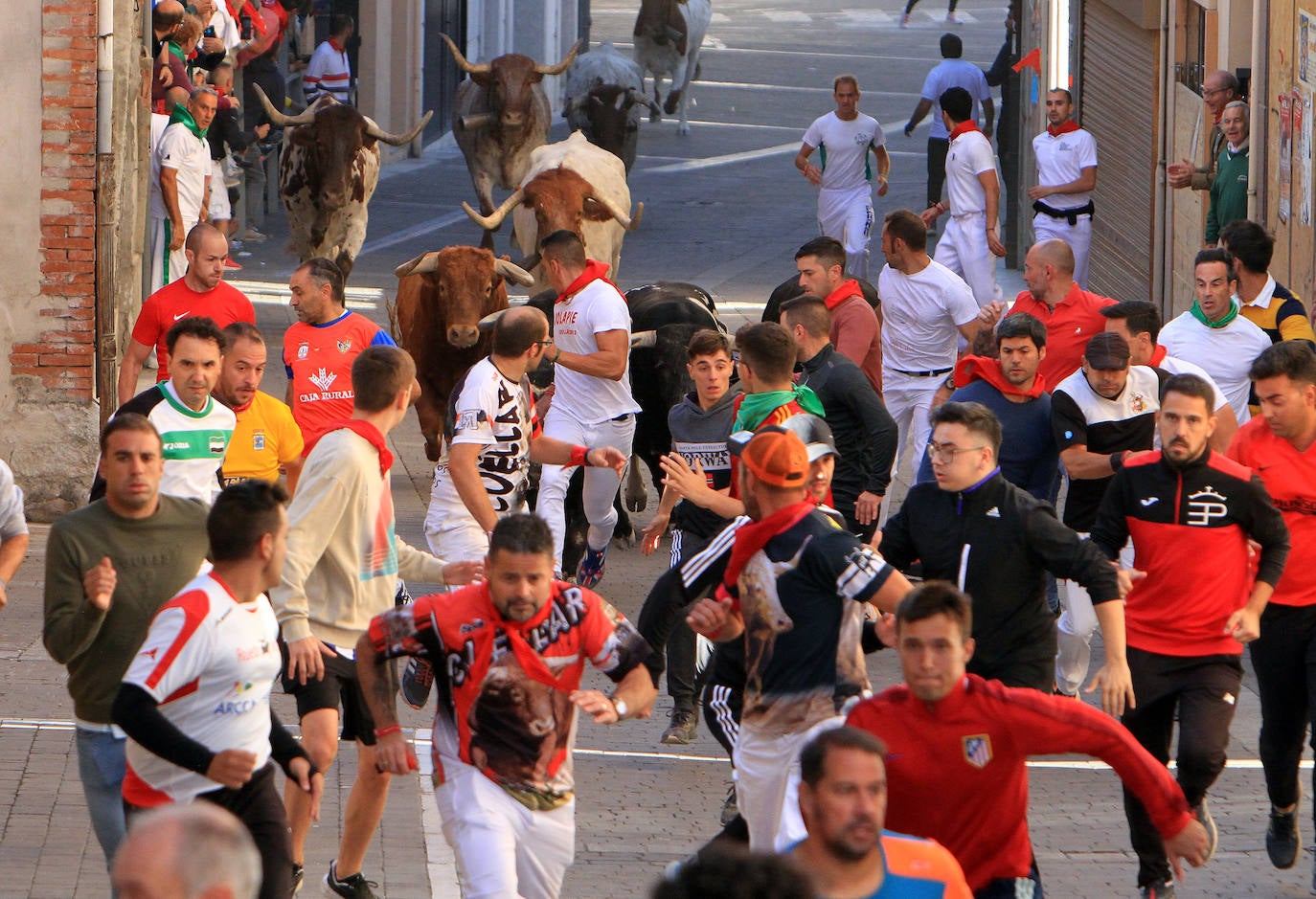 El último encierro de Cuéllar, en imágenes (2 de 2)