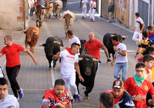 Quinto encierro en las calles de Cuéllar.