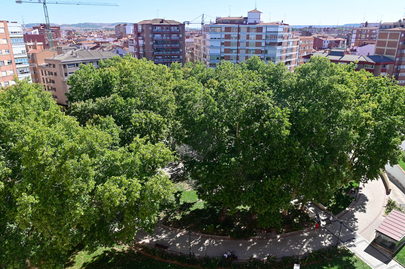 La Plaza Circular, En Imágenes 