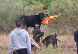 El primer encierro de Medina del Campo en imágenes