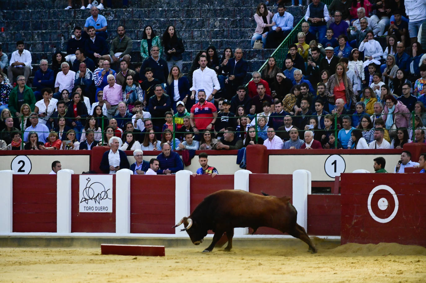 La final del Campeonato Mundial de Cortes, en imágenes (I)