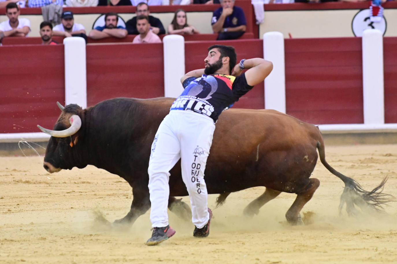 La final del Campeonato Mundial de Cortes, en imágenes (II)