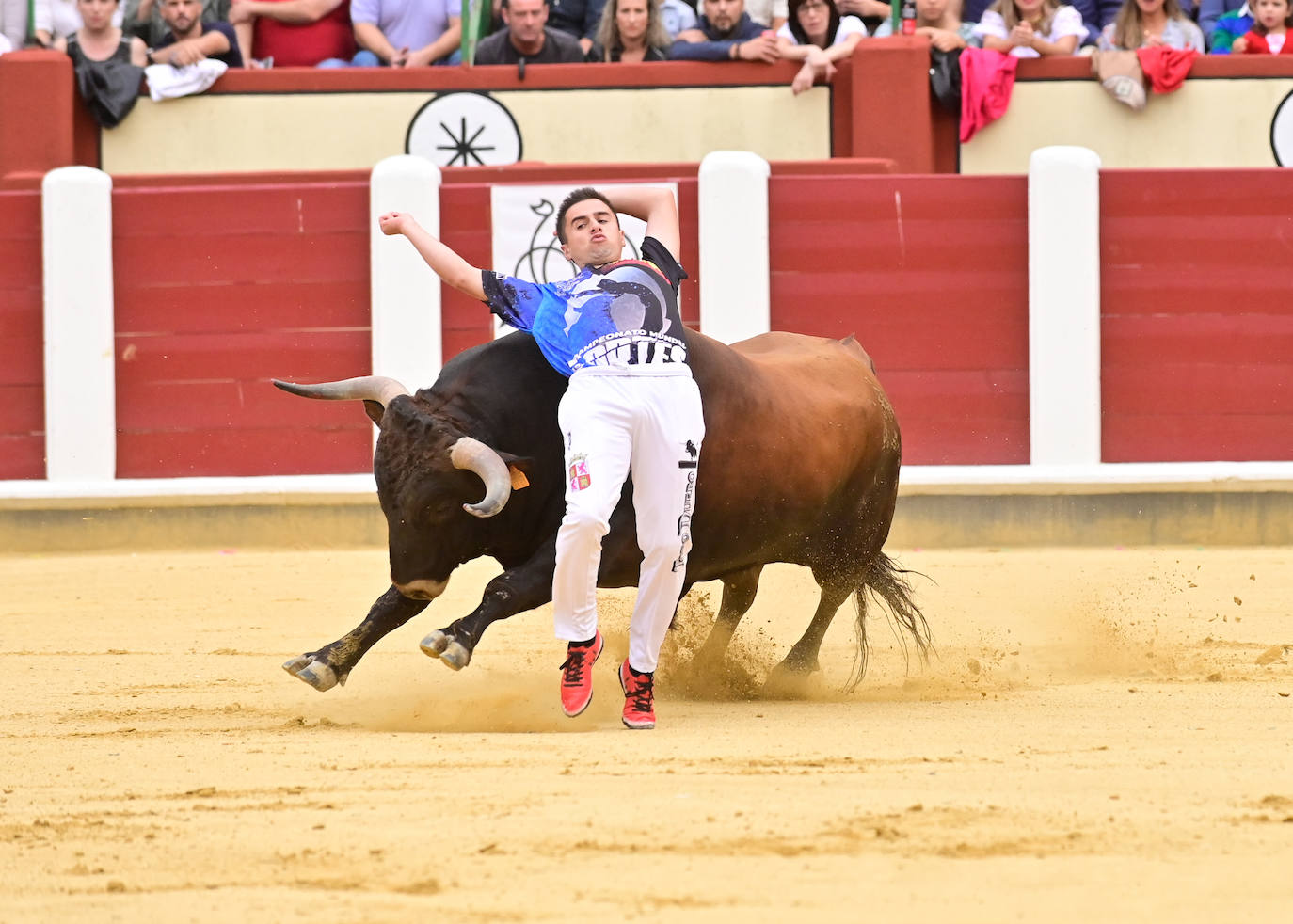 La final del Campeonato Mundial de Cortes, en imágenes (III)