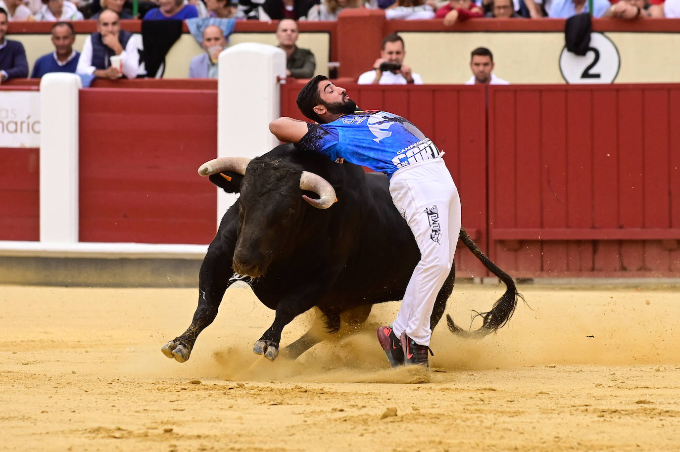 La final del Campeonato Mundial de Cortes, en imágenes (III)