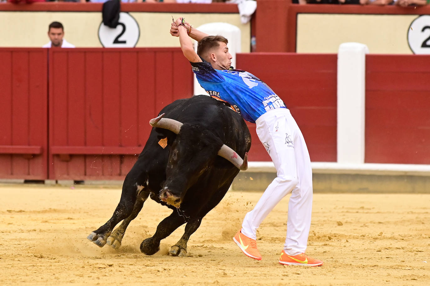 La final del Campeonato Mundial de Cortes, en imágenes (III)