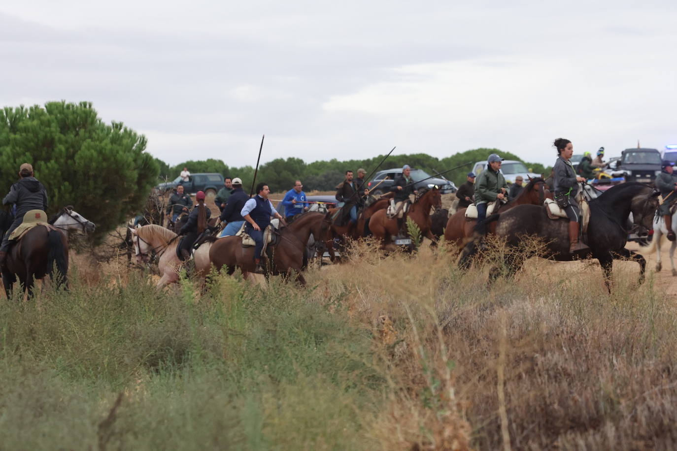 Encierro del domingo en Medina del Campo