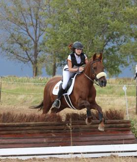 Imagen secundaria 2 - España se proclama campeona de Europa de TREC por equipos