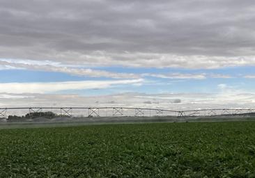 El tiempo esta semana: precipitaciones que no impiden que siga el riego