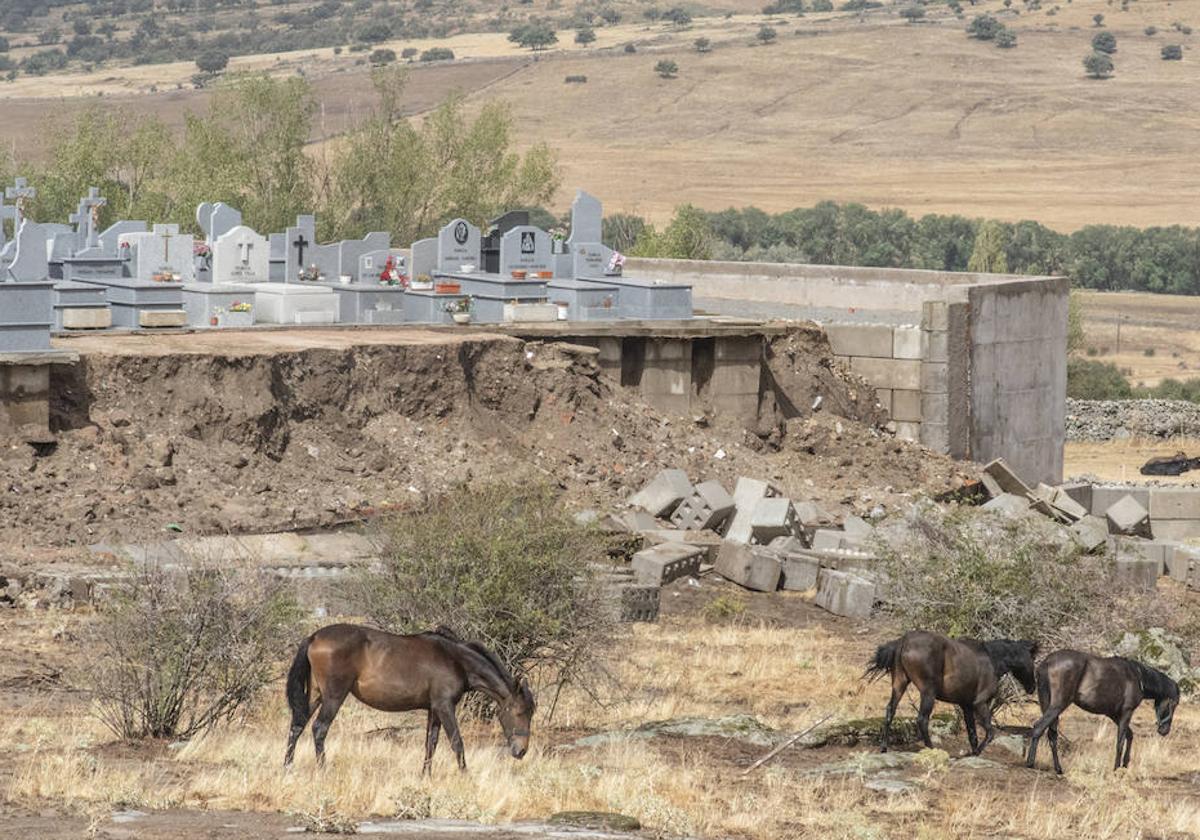 Muro desprendido en el cementerio de El Espinar, junto a tres caballos.