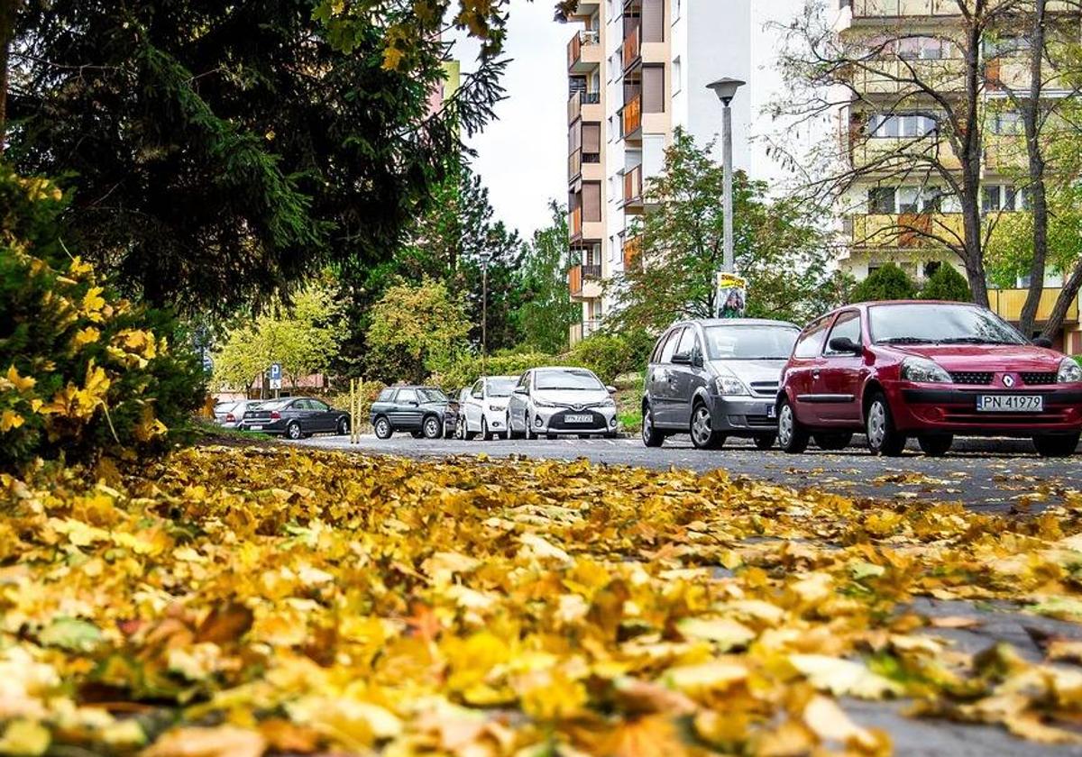 Los riesgos que corremos al conducir con viento y cómo evitarlos