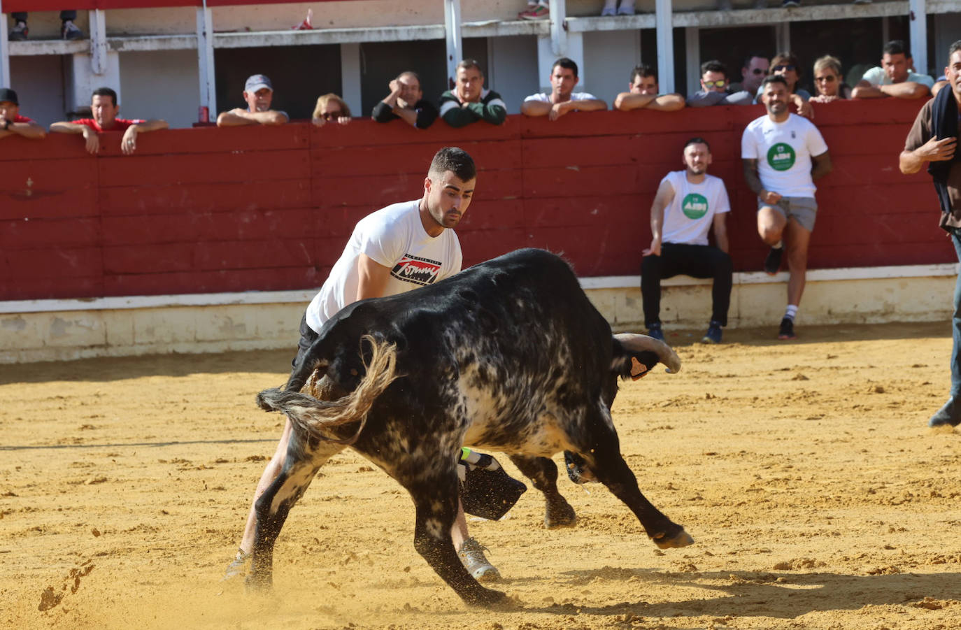 El encierro del miércoles de Medina del Campo, en imágenes