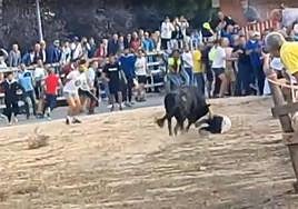 Momento de la cogida durante el encierro celebrado esta mañana en Medina del Campo.