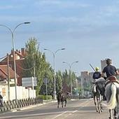 Un toro se sale del recorrido y entra en el casco urbano de Medina