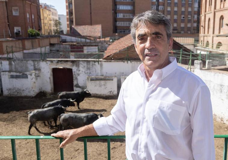 Víctorino Martín, en los corrales de la plaza de Valladolid con sus toros de fondo.