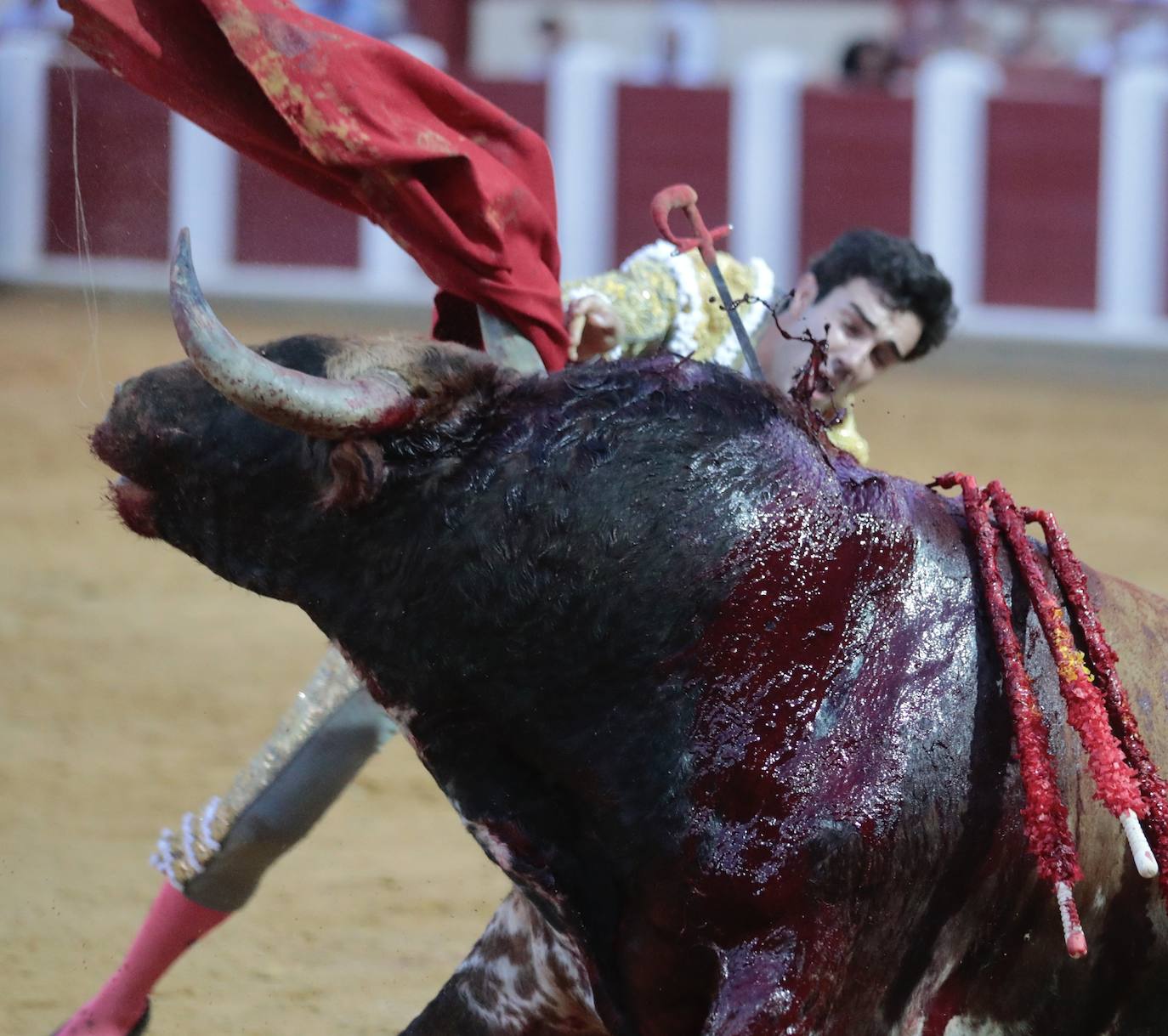 Los toros de la ganadería de Victoriano del Río ofrecieron un gran espectáculo