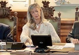 Irene Carvajal, durante el pleno de este lunes en Valladolid.