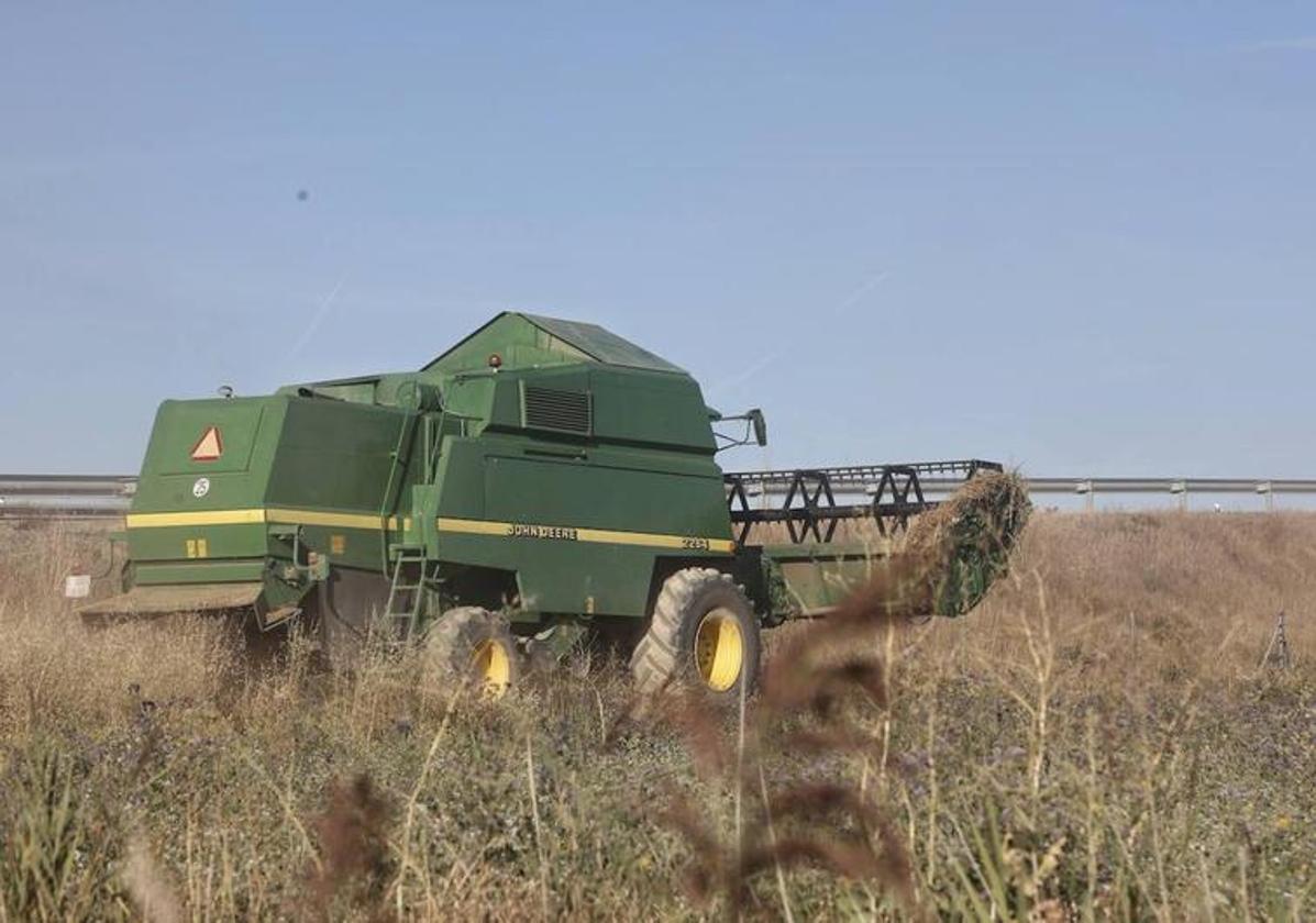 Anuladas las bases de las ayudas a organizaciones agrarias de la Diputación en 2021