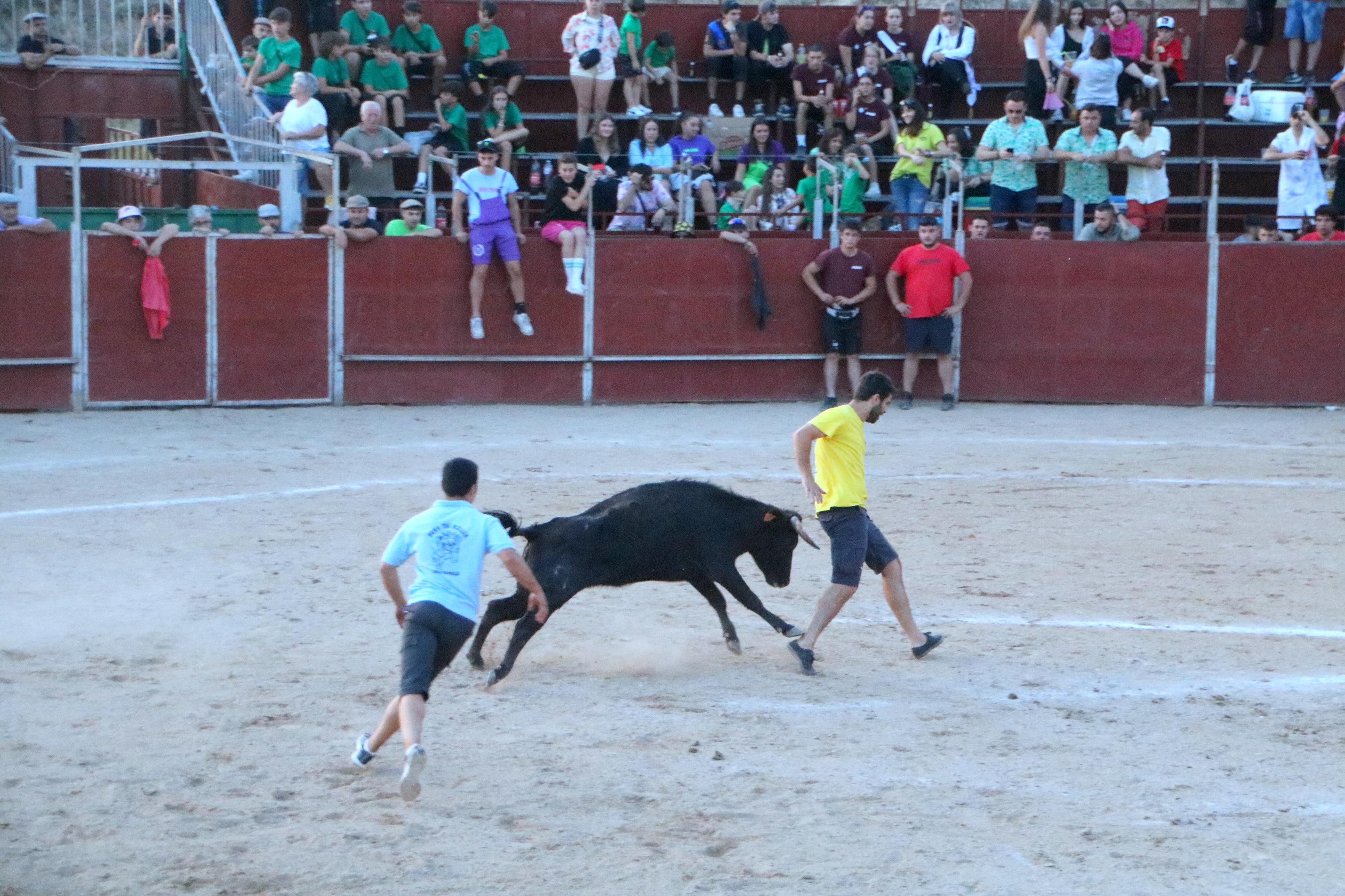 III Certamen Taurino &#039;Bodegas de Baltanás&#039;