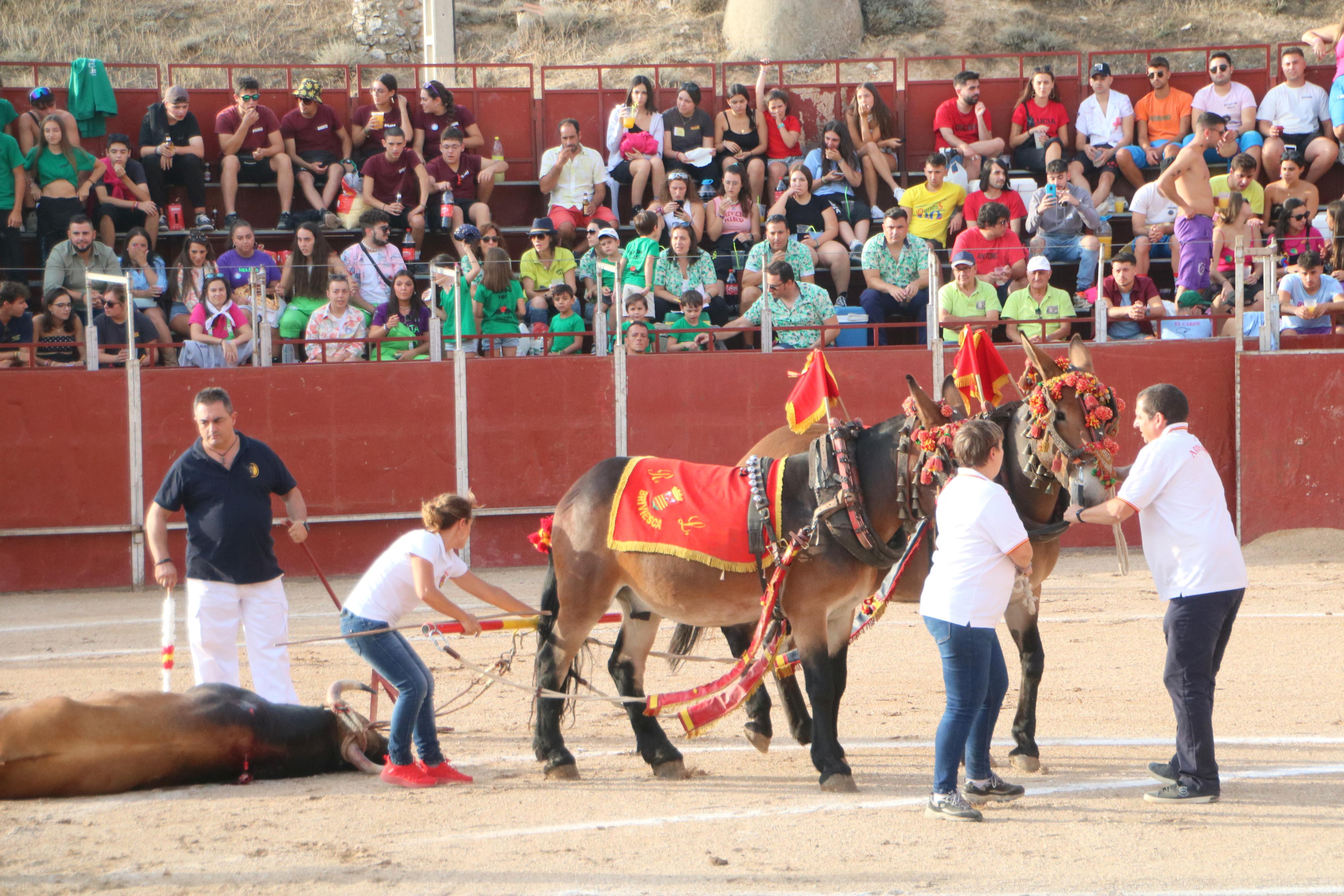 III Certamen Taurino &#039;Bodegas de Baltanás&#039;