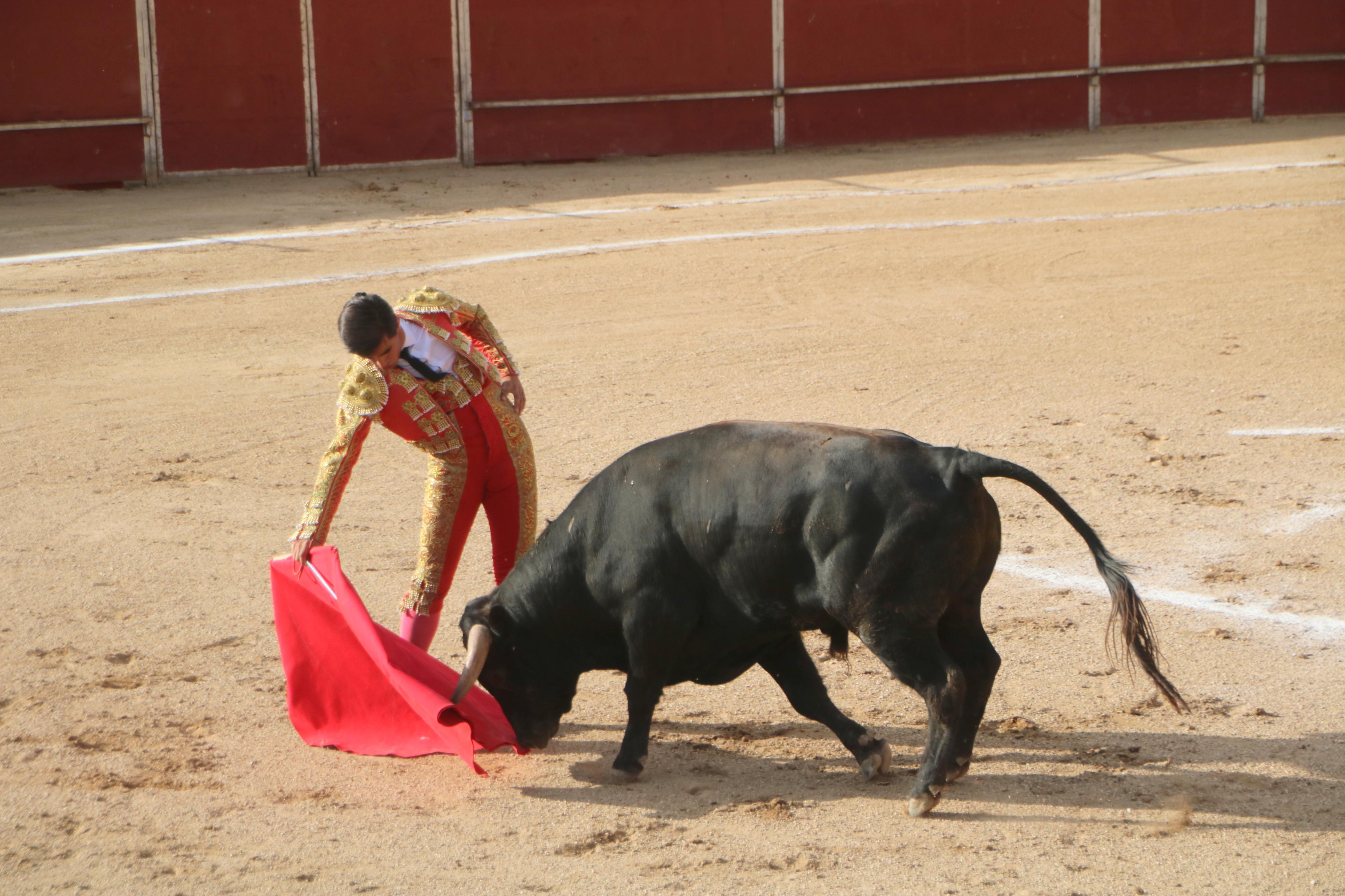 III Certamen Taurino &#039;Bodegas de Baltanás&#039;