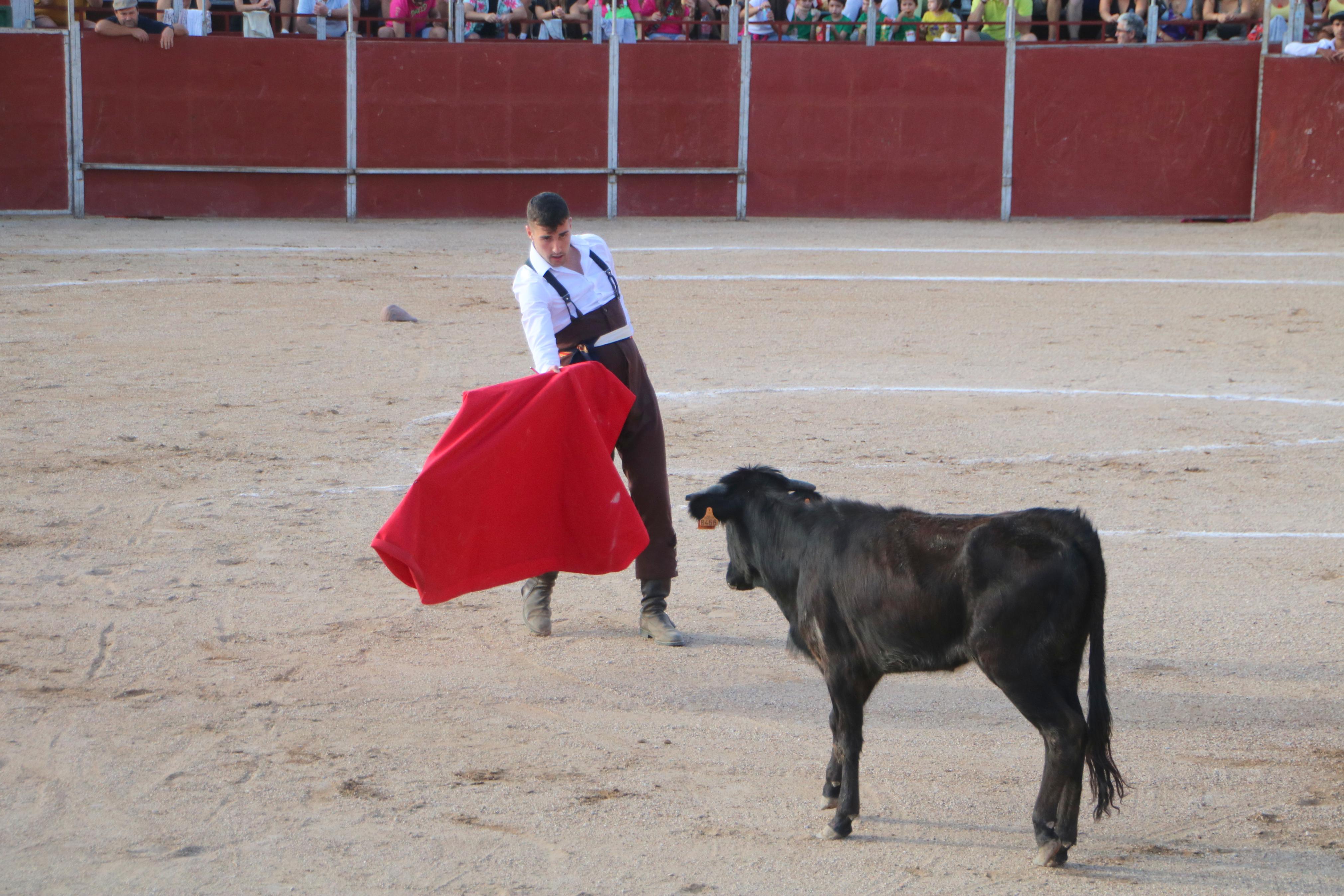 III Certamen Taurino &#039;Bodegas de Baltanás&#039;