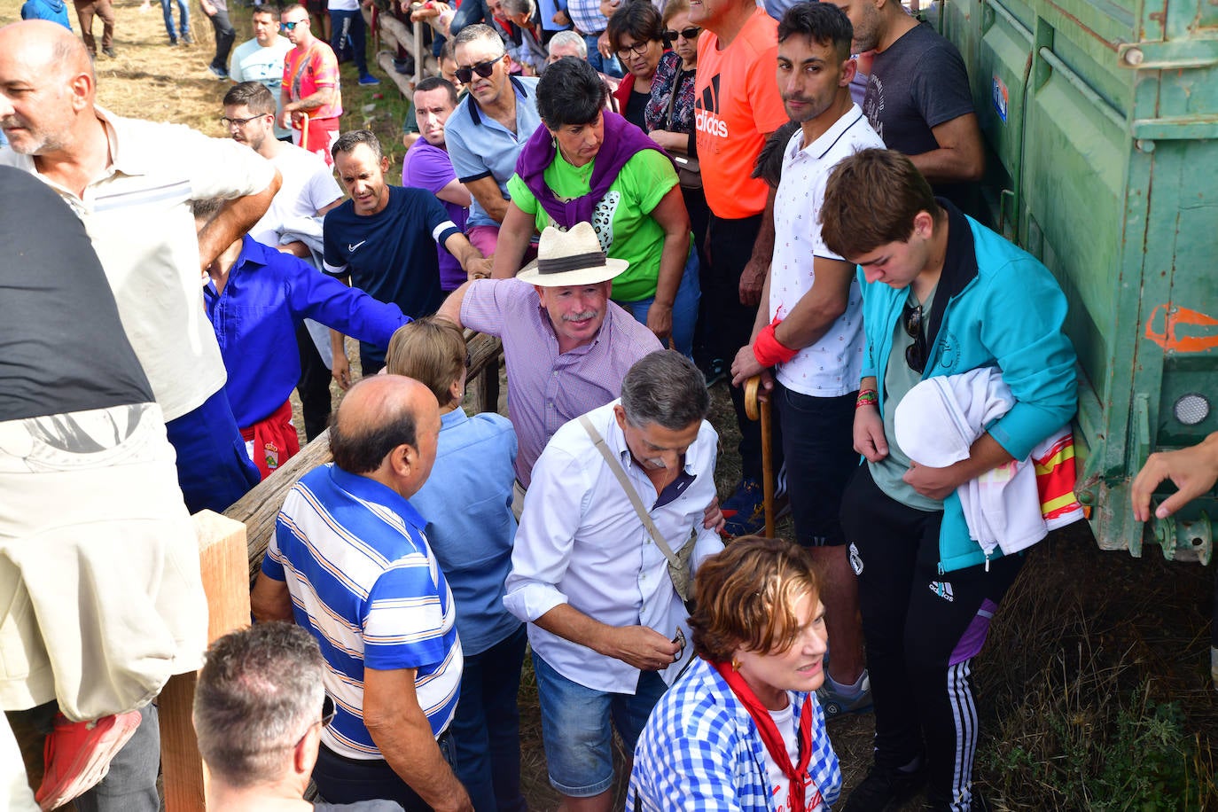 El Toro de la Vega siembra el pánico en Tordesillas