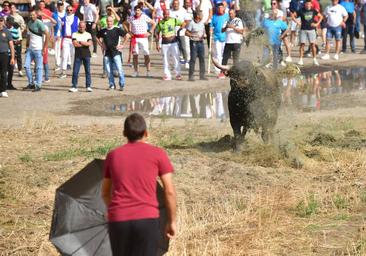 El corneado por el Toro de la Vega continúa grave tras ser operado con éxito