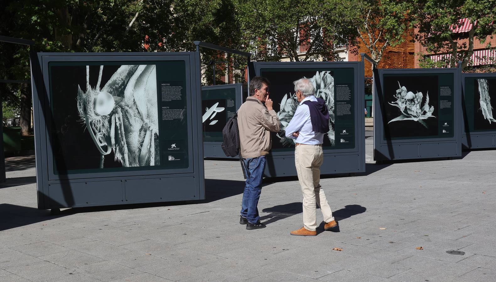 La exposición &#039;Nanocosmos&#039; llega al parque del Salón de Palencia