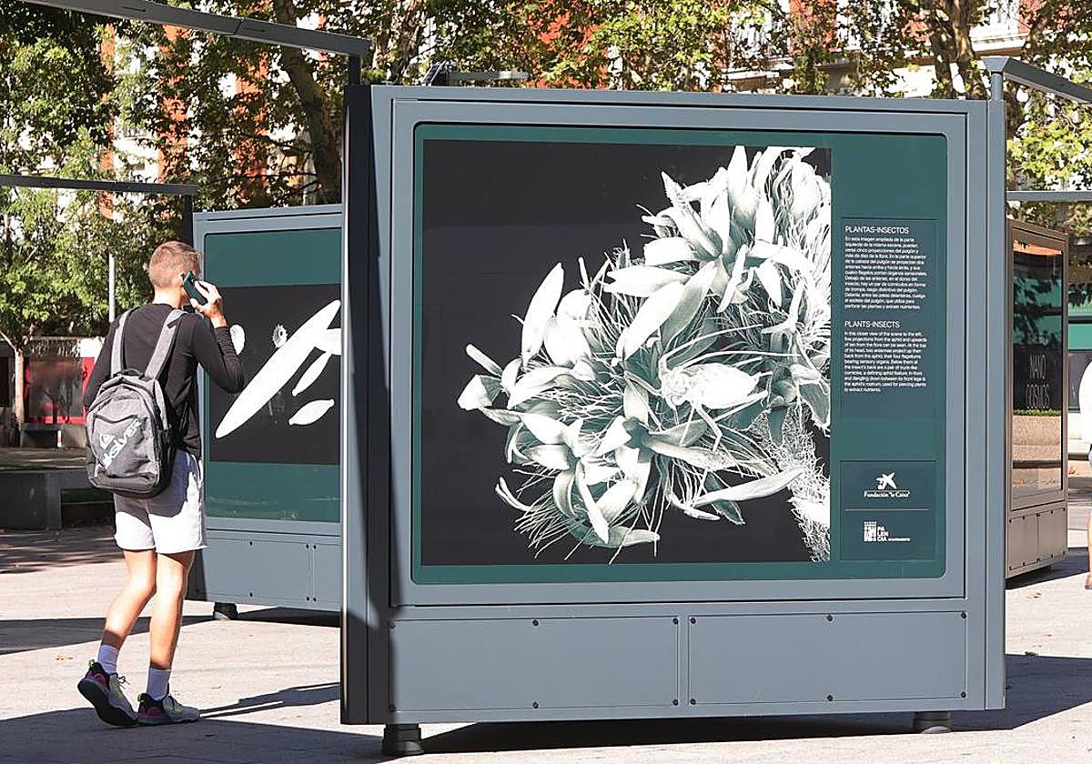 La exposición &#039;Nanocosmos&#039; llega al parque del Salón de Palencia