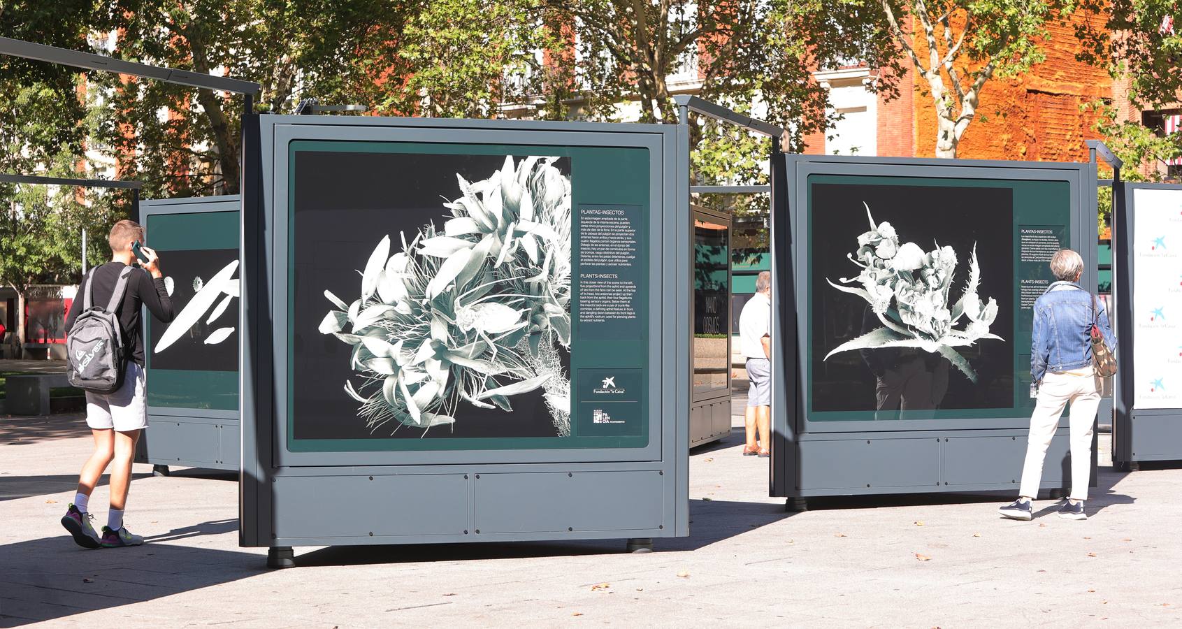 La exposición &#039;Nanocosmos&#039; llega al parque del Salón de Palencia