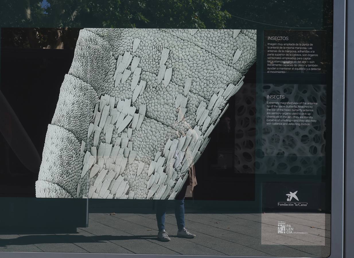 La exposición &#039;Nanocosmos&#039; llega al parque del Salón de Palencia