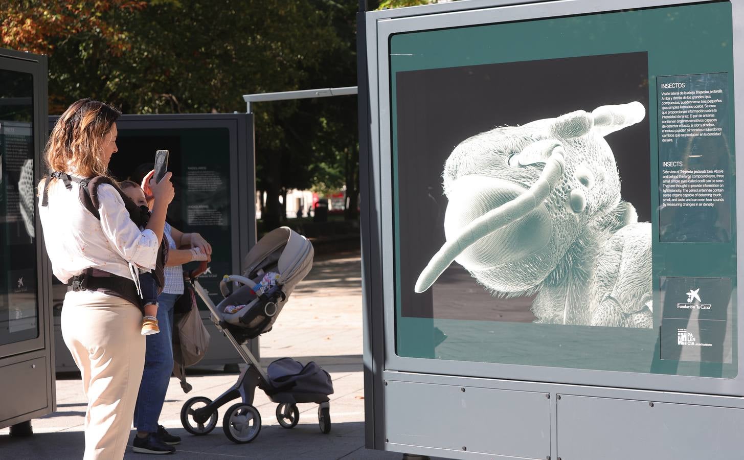 La exposición &#039;Nanocosmos&#039; llega al parque del Salón de Palencia