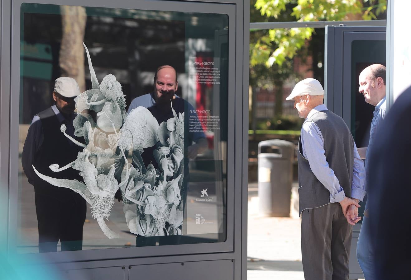 La exposición &#039;Nanocosmos&#039; llega al parque del Salón de Palencia